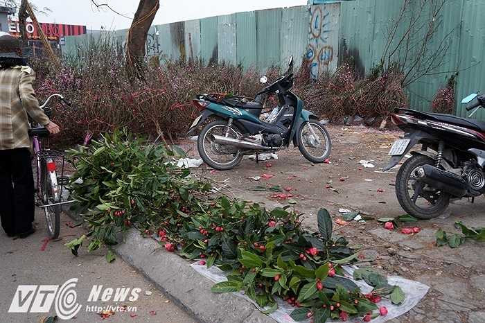 Những cành hoa hải đường ủ rũ nằm trên hè đường chờ khách qua hỏi nhưng bất cứ ai vào cửa hàng cũng chỉ nhìn qua rồi lại vội vã bỏ đi.