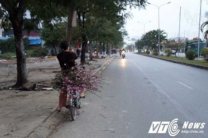Một người phụ nữ thay vì mua một cành đào về chơi Tết thì chị chọn cách nhặt những cành đẹp bị rơi rụng hoặc bị các chủ hàng bỏ lại.