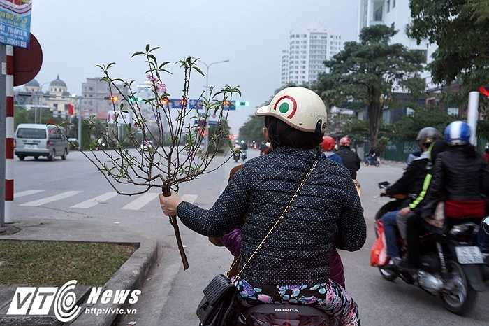 Nhiều người mua những cành đào nhỏ về bày ban thờ với giá chỉ từ 10.000 - 15.000 đồng/cành. (Ảnh: Huyền Trân)