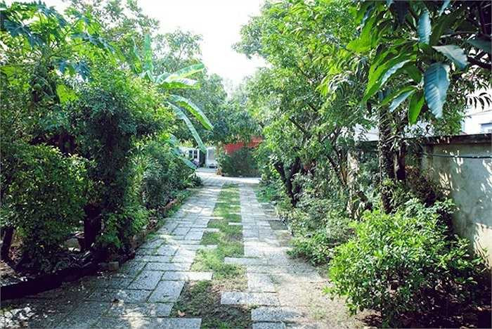 Lối đi trong vườn được lát gạch thô tươm tất. Mỗi sáng, bố mẹ Thiên Lý đều trực tiếp tưới cây và chăm sóc từng chậu cây. Trước đây, bố cô là giảng viên tại Đại học Khoa học Tự nhiên, mẹ là bác sỹ khoa mắt. 