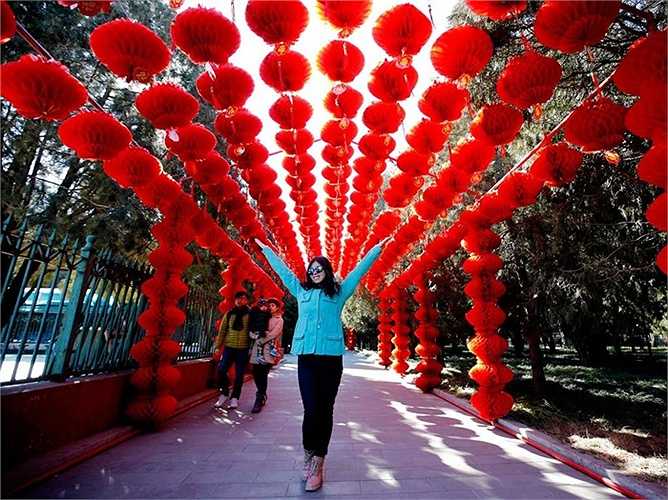 Người phụ nữ đứng tạo dáng ở công viên Địa Đàn, Bắc Kinh, Trung Quốc