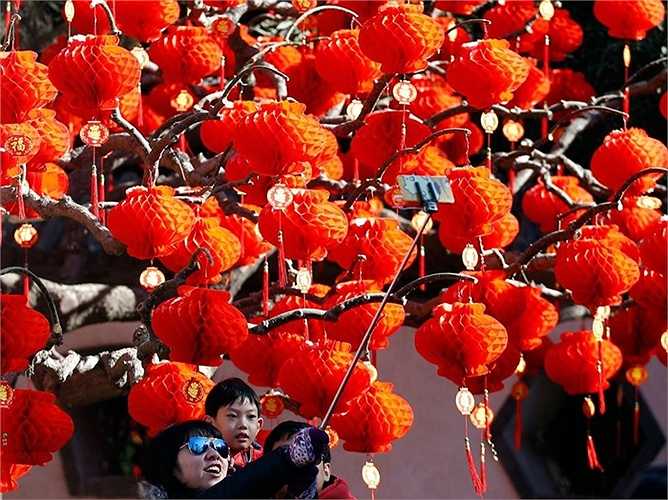Một gia đình chụp ảnh với những chiếc đèn lồng treo trên cây ở Bắc Kinh, Trung Quốc