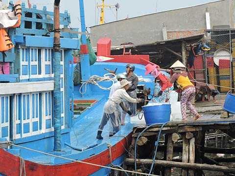 Quảng Ngãi, Lý Sơn, mở cửa biển, vươn khơi đầu năm, ngư dân, Tết Ất Mùi