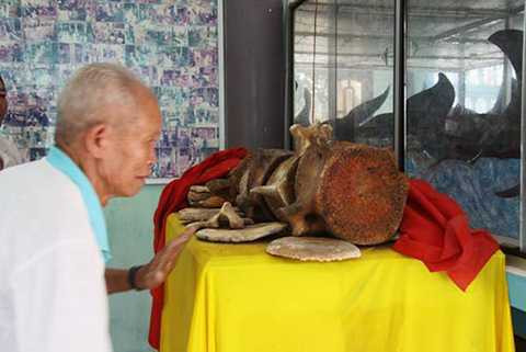 đền thờ, cá Ông, lớn nhất Việt Nam, cá voi, ông Nam Hải, Đất Đỏ, Bà Rịa-Vũng Tàu