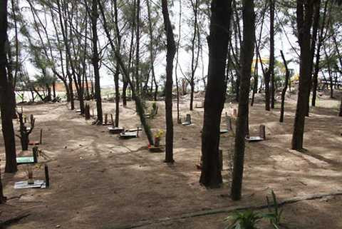 đền thờ, cá Ông, lớn nhất Việt Nam, cá voi, ông Nam Hải, Đất Đỏ, Bà Rịa-Vũng Tàu