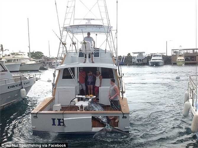 Con thuyền bé nhỏ không thể chứa hết con cá buộc phần đuôi phải thò ra ngoài