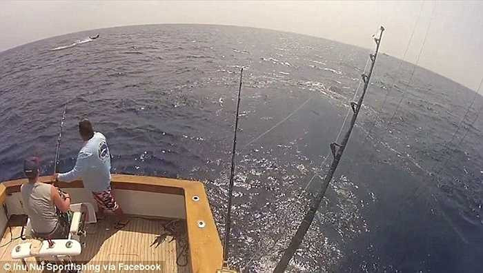 Kai (ngồi) đang kéo con cá kiếm bằng cần câu của mình