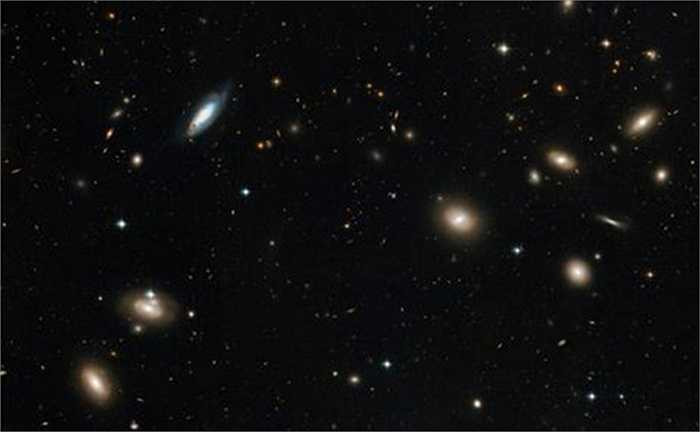 Chòm sao Hậu Phát (Coma Berenices) chứa những ngôi sao mờ xung quanh cực bắc của Ngân hà. Đây là một trong số ít chòm sao được đặt tên dựa trên người thật (Nữ hoàng Berenice II của Ai Cập), thay vì nhân vật thần thoại. Ảnh: NASA