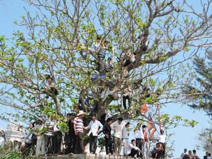 Lý Sơn, ngư dân, khai hội, đua thuyền, Tứ linh, Mùng 5 Tết, dân binh