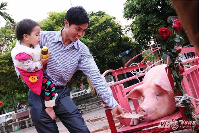 Theo cha mẹ cho 'Ông Ỉn' ăn để lấy may