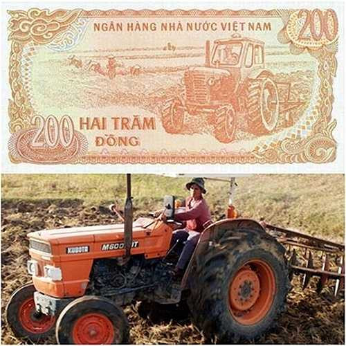 Bên cạnh đó, nhiều tờ tiền Việt Nam có hình ảnh về nông nghiệp, lâm nghiệp của nhiều vùng miền, thể hiện tinh thần lao động hăng say của người dân lao động. Tờ 200 đồng là hình ảnh người nông dân đang gặt lúa, lái máy cày trên cánh đồng làng. 