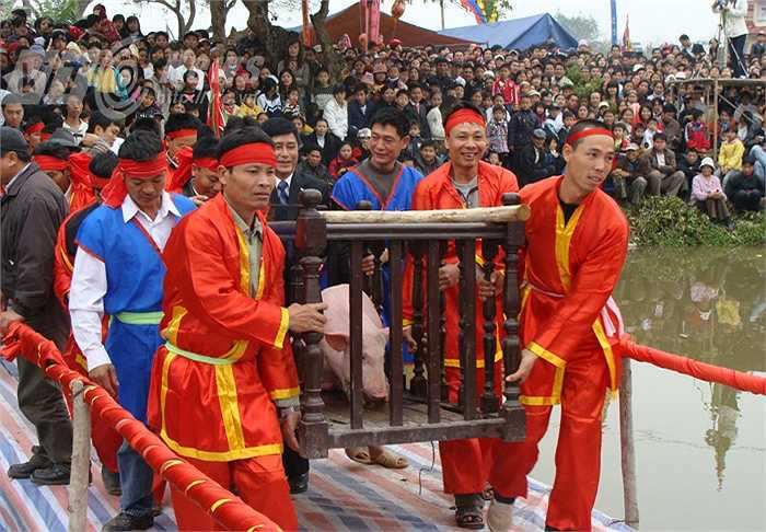 Tế thần xong, vị chủ tế đánh trống lệnh. Tức thì, 20 thanh niên của mỗi đội khiêng lợn chạy trên chiếc cầu ra sân khấu nổi, vật lợn ra, rồi mỗi người một việc, đã phân công chi tiết, xông vào làm thịt lợn.