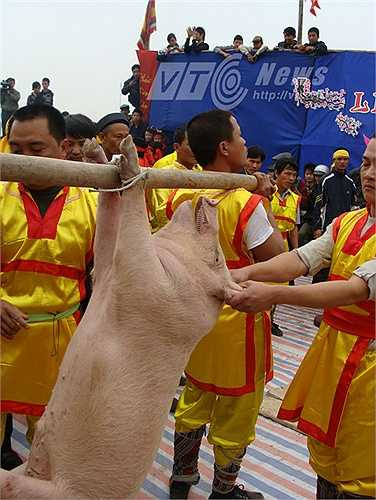 Tuy nhiên, chỉ trong chớp mắt, đám thanh niên trong làng đã vật hàng chục con lợn và chế biến thành nhiều món để khao quân. Sau bữa khao quân ấy, dân làng đã lập đền thờ Cao Sơn Đại Vương và coi ông là Thành Hoàng làng, rồi hàng năm đều tổ chức lễ hội thi giết lợn nhanh, để tưởng nhớ đến vị tướng tài ba này. 