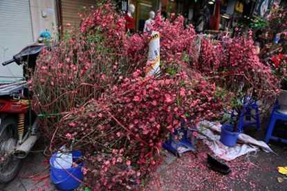 Vì sao nắng nóng bất thường vào tháng 2?