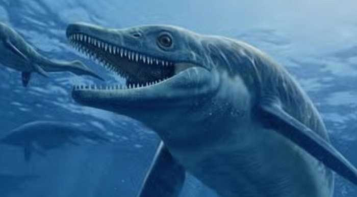 Thalattoarchon, con quái vật biển có hình dạng giống như một chú cá heo. Loài động vật ăn thịt khổng lồ có chiều dài khoảng 8,6m, sở hữu một hộp sọ lớn và hàm răng to, sắc cạnh để bắt và cắt con mồi. Nó có thể tấn công cả những con mồi lớn bằng hoặc lớn hơn nó.