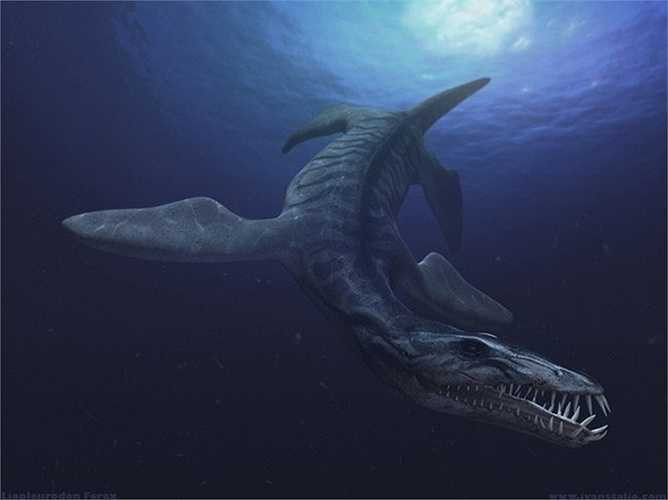 Liopleurodon, vua của những sinh vật biển sống ở kỉ Jura muộn. Loài quái thú này có những chiếc răng dài 7cm và có khoảng 100 - 210 chiếc răng trong mỗi hàm.