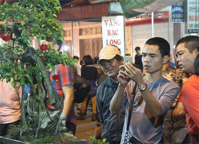 Nhiều người không có cơ hội mua về những cây cảnh đắt tiền thì lựa chọn cách ghi lại những hình ảnh đẹp.