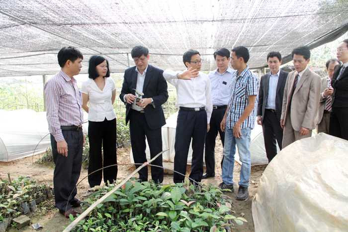 Phó Thủ tướng Vũ Đức Đam