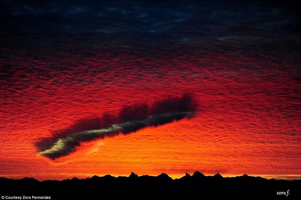 Hiện tượng này khiến cho nhiều người dân thích thú