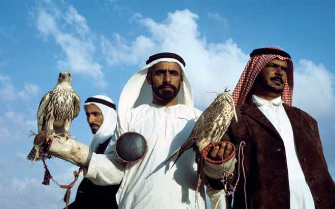 Các đại gia không thể bỏ lỡ cơ hội sở hữu cho mình một chú chim ưng khổng lồ