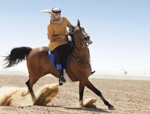 Nuôi những con ngựa lớn để cưỡi ngựa trên các sa mạc rộng lớn không phải là điều khó khăn cho các đại gia nơi đây