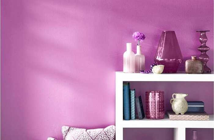 Có phải bạn cảm thấy vui vì màu tím hồng này xuất hiện và nở rộ hoặc là nó quá chói đối với bạn? 