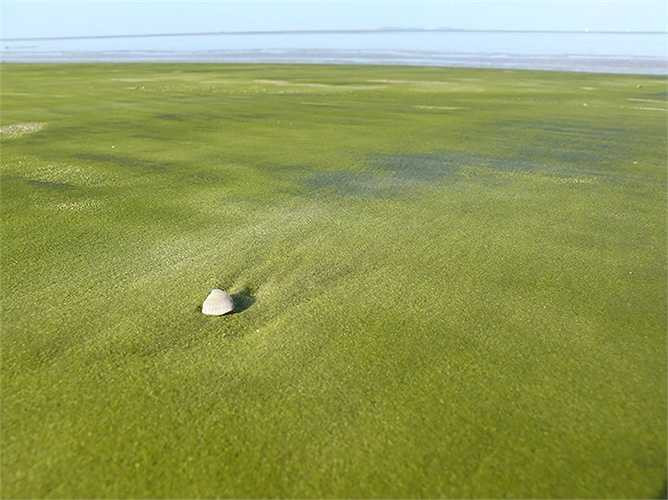Bãi biển cát xanh tại Kourou, xứ Guiana ở Pháp.