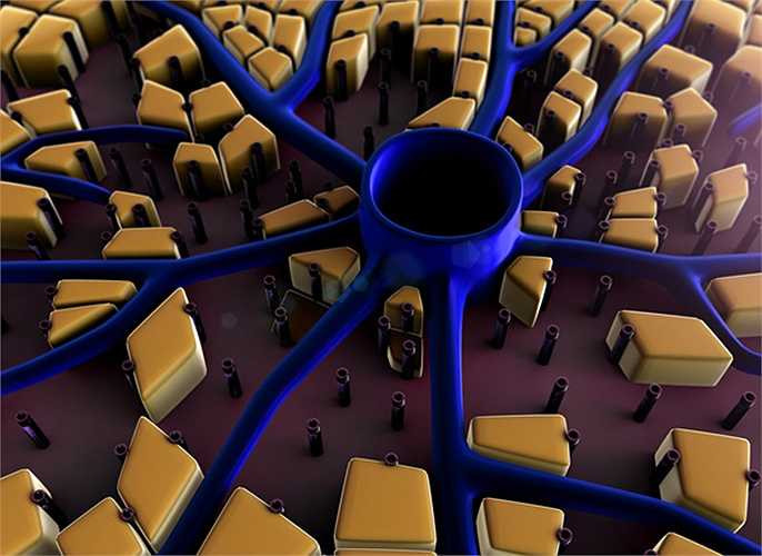 Làm gan bị quá tải: Trước khi đi vào máu, đường đi qua gan, ở đó đường được chuyển hóa thành glycogen và được lưu trữ trong gan. Tuy nhiên, nếu bạn ăn nhiều đường, khả năng lưu trữ glycogen hết, đường fructose chuyển thành chất béo.