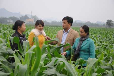 Chủ tịch xã có bằng thạc sĩ Anh quốc