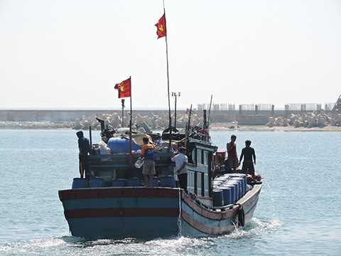 Ngư dân, Lý Sơn, trúng "lộc biển", đầu năm, Tết Ất Mùi