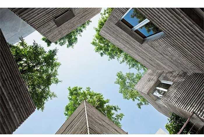 Đây là một công trình xanh do kiến trúc sư Võ Trọng Nghĩa thiết kế. Ngoài lọt Top 15 nhà đẹp nhất năm 2015 của Bảo tàng London, House for Trees đã nhiều lần đạt giải thưởng quốc tế danh giá như từng đạt giải nhất duy nhất tại giải thưởng AR House của Anh, Huy chương Vàng tại giải thưởng kiến trúc của Hội kiến trúc sư Châu Á (ARCASIA), giành chiến thắng ở hạng mục Nhà ở tại Festival Kiến trúc thế giới 2014... 