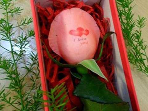 Hoa hồng "biết nói"