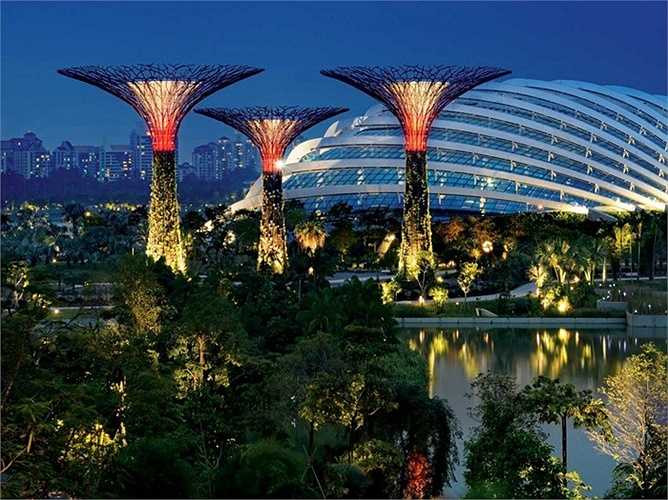 Những 'siêu cây' nhân tạo tại Gardens by the Bay