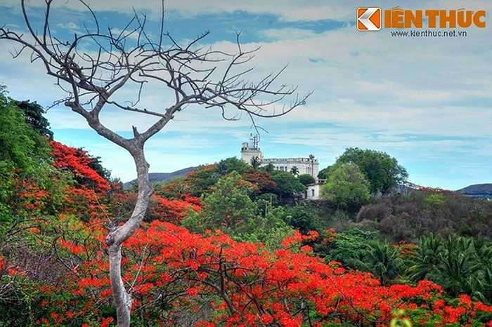 Lầu Bảo Đại, còn gọi là biệt điện Cầu Đá là một cụm năm toà biệt thự cổ mang dấu ấn của cựu hoàng Bảo Đại, toạ lạc trên đỉnh núi Chụt (núi Cảnh Long), thành phố Nha Trang. Ảnh: Toàn cảnh khu vực đỉnh núi Chụt với biệt thự Xương Rồng ở phía xa.