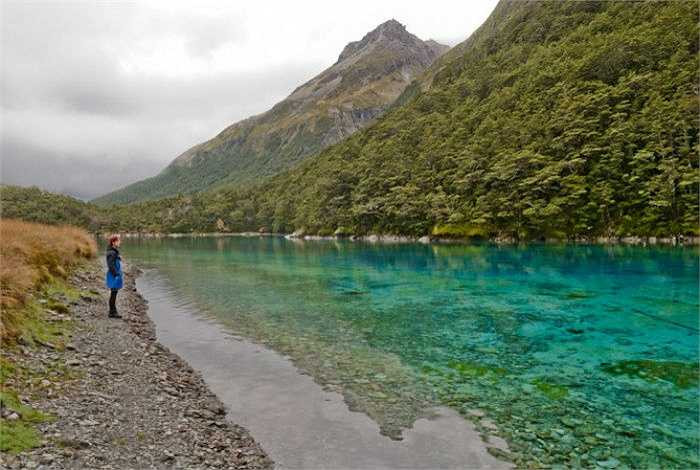 Hồ Blue, New Zealand: Tọa lạc trong khuôn viên Công viên Quốc gia Hồ Nelson, đúng như tên gọi của mình, hồ Blue sở hữu làn nước trong và xanh tới nao lòng. 