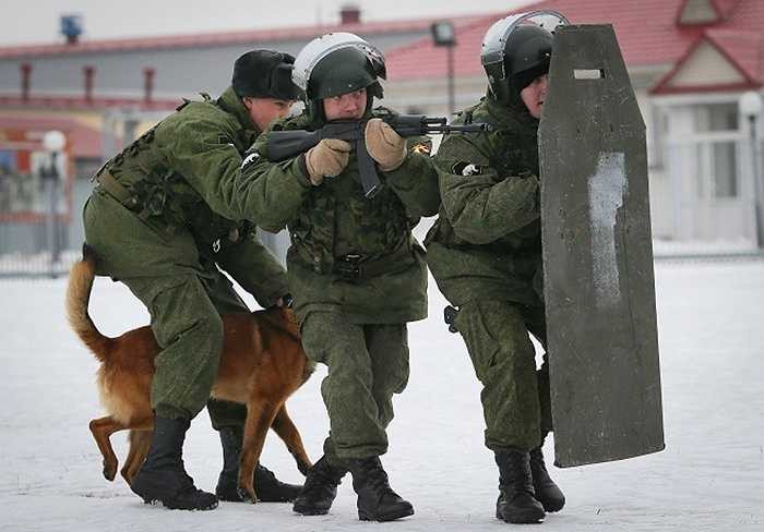 Chó nghiệp vụ luôn di chuyển cùng lực lượng đặc nhiệm trong các nhiệm vụ