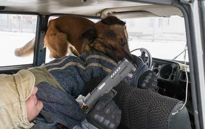 Khống chế đối tượng có súng đang cố thủ trong xe