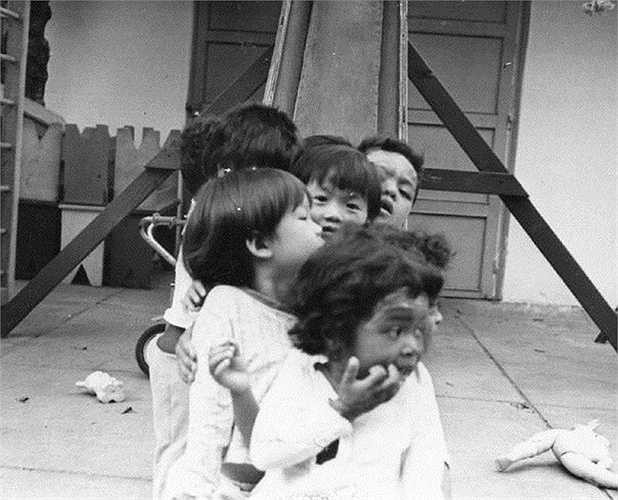 Tháng 4 năm nay, những người con mang dòng máu Việt sẽ trở về nơi họ sinh ra để kỷ niệm 40 năm từ khi họ được đưa lên máy bay sang Mỹ