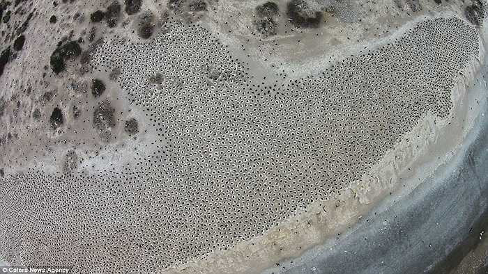 Nhìn từ trên cao, chúng tạo nên một hình thù kỳ quái