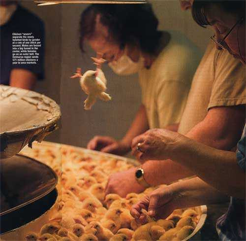 Công việc lương hơn 1 tỷ đồng/năm nhưng ít ai muốn làm