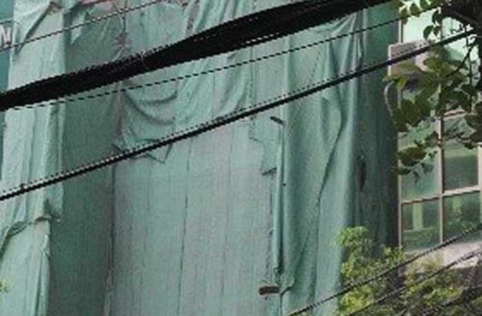 Người xuýt xoa vì độ giàu có của bà Liễu, người thì trầm trồ vì kiến trúc cầu kỳ của ngôi nhà trên con phố 'vàng của Thủ đô mà bà mua tặng con trai.