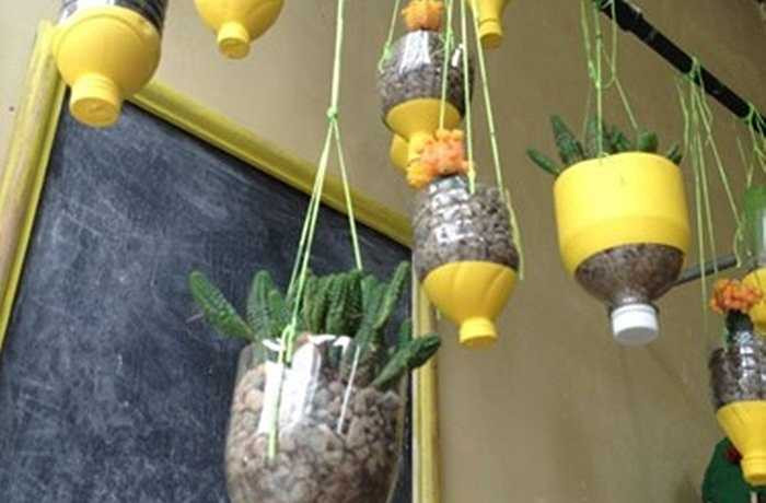 Bạn cũng có thể tạo chậu hoa treo trang trí nhà độc đáo từ vỏ chai nhựa như trong hình.