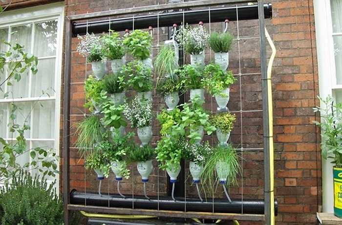 Không chỉ trang trí trong nhà, bạn cũng có thể tận dụng chai nhựa để làm những chậu cây treo ngoài vườn.