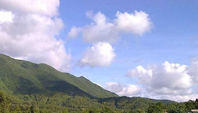 Đưa nhân viên trang điểm vào rừng vắng làm trò đồi bại