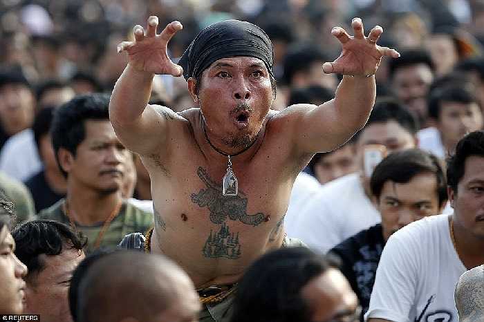 Tín đồ này cũng trong tình trạng thôi miên, đang bắt chước hành động của hổ giống hình xăm trên ngực