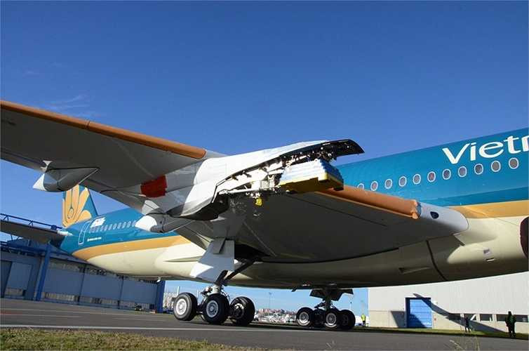 Ngoài ra, loại máy bay này còn được trang bị nhiều tiện ích như hệ thống đèn LED 16,7 triệu màu trong khoang. Thay vì màu đèn đơn điệu như thường thấy, chiếc máy bay này có thể thay đổi nhiều màu sắc khác nhau nhằm giúp giảm cảm giác mệt mỏi cho hành khách.