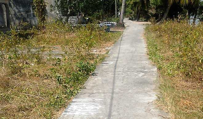 Cụ bà ngã xe khi cháu trai chạy trốn cảnh sát đã tử vong