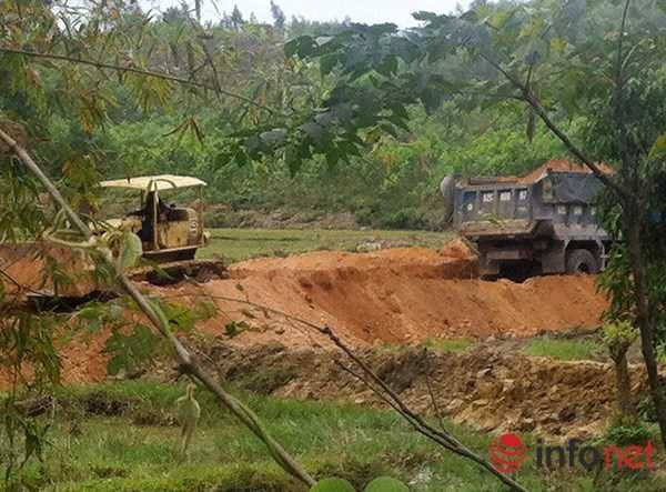 Thực hư việc nguyên Chủ tịch Đà Nẵng cấp phép 'cải tạo đất' trước về hưu?