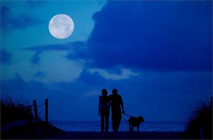 Đừng bao giờ thề nguyện dưới ánh trăng, bởi vì trăng lúc tròn lúc khuyết, tình yêu của bạn cũng sẽ thay đổi theo nó mà thôi