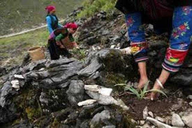 Đồng bào dân tộc